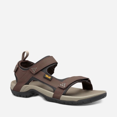 Teva Meacham - Men's Teva Hiking Sandals - Chocolate Brown | India (QTUY50641)